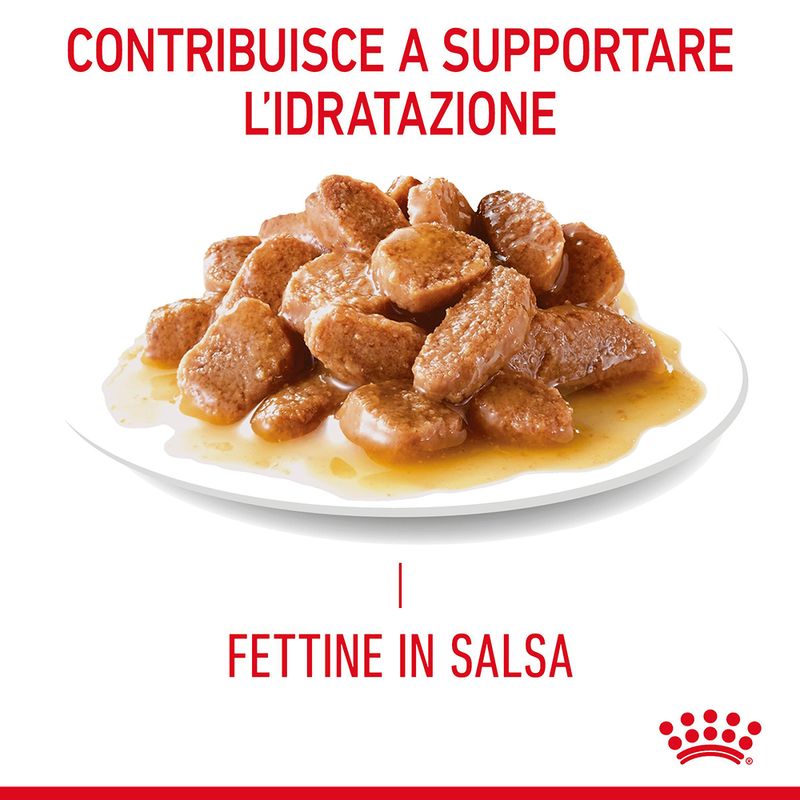 Royal Canin Urinary Care Salsa Umido per Gatto - 12x85gr Royal Canin Urinary Care Salsa Umido per Gatto - 12x85gr